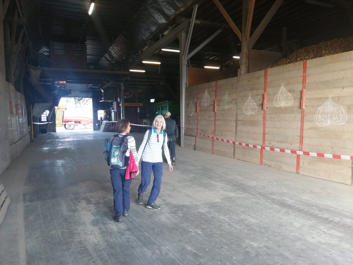 De wandelaars van #TochtomdeNoord ontvangen bij de boeren op het #hogeland

#proeven #kijken en #genieten op de boerderij

Met <a href="/FrieslndCampina/">FrieslandCampina</a> <a href="/LTONoord/">LTO Noord</a>
#todn21