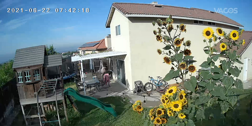 vacoslabs's tweet photo. A peaceful morning captured by #Vacos Cam IR! Our camera not only secures your life, but also records crisp, beautiful moments for your sweetest memories.

Shop now: https://t.co/DpFQaoFeqD https://t.co/U93i0Qi2Pr