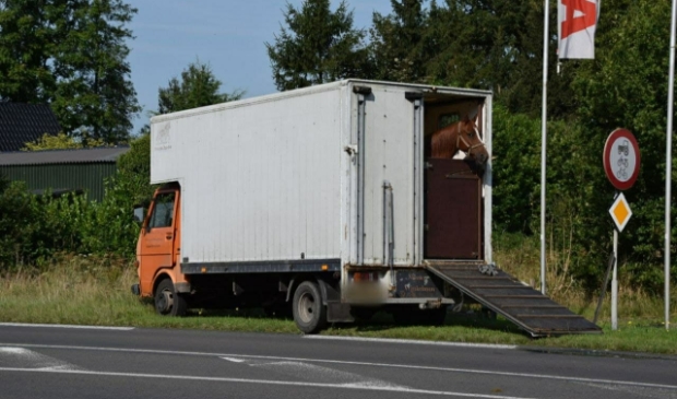 Vrachtwagen met paard botst met auto op de N355 bij Jistrum