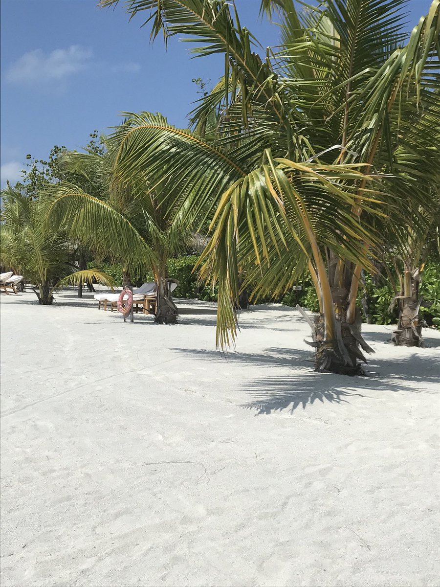 SallyWallis5's tweet photo. BREAKING: Turkey, Pakistan, Maldives, Egypt, Sri Lanka, Oman, Bangladesh and Kenya REMOVED from Red List from 4am 22 Sept ✈️

- No quarantine on return to the UK if double jabbed  #travelisback #alwayshereforyou https://t.co/RREz8sJeq8