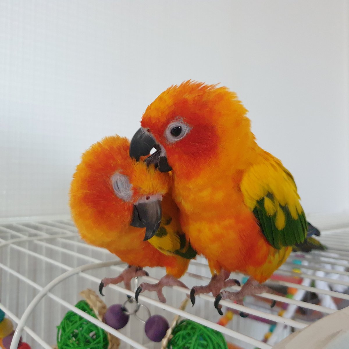 사이 진짜 좋네