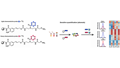 Chemoselective and Highly Sensitive Quantification of #GutMicrobiome and Human Metabolites <a href="/globischlab/">Globisch Lab</a> <a href="/scilifelab/">SciLifeLab</a> @UU_University #openaccess onlinelibrary.wiley.com/doi/10.1002/an…