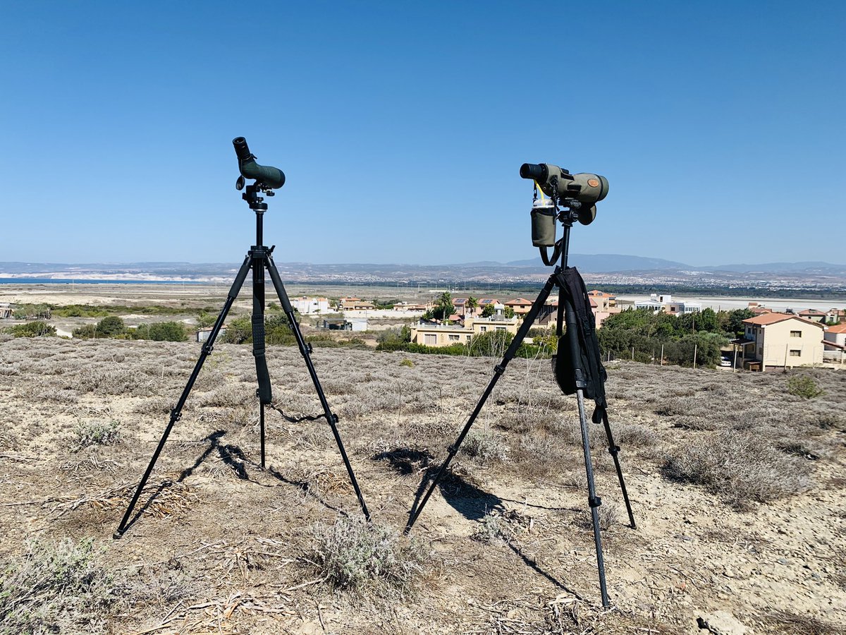 Great to catch up with <a href="/vtjernberg/">Victor Tjernberg</a> whilst counting migrating raptors!
Lesser spotted eagle being the  highlight. 
+ 350 Honey buzzard, Osprey, 11 Black kite, 13 Marsh harrier, Montagus harrier, Hobby, Red footed falcon, Peregrine, Eleonoras falcon and Sparrowhawk #cyprusbirds