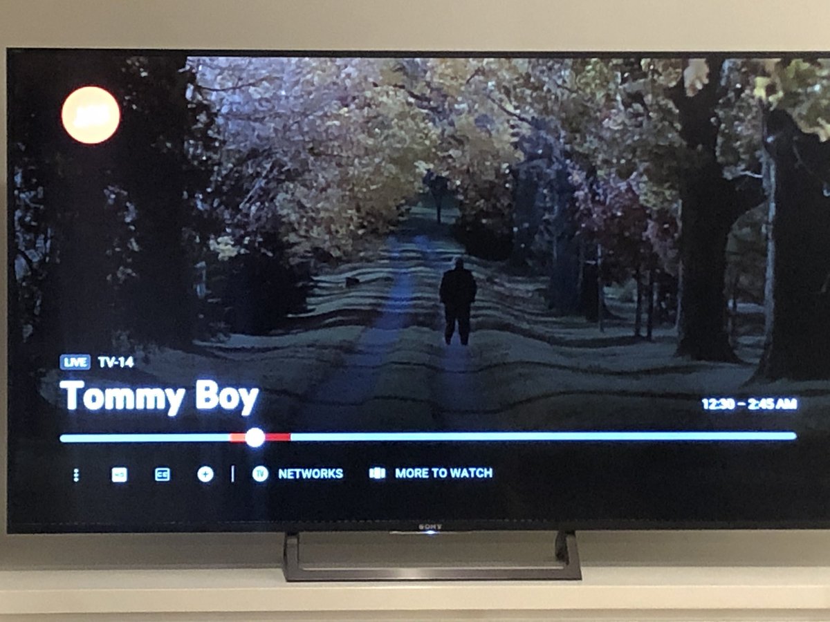 mozman08's tweet photo. Same setting? Same movie?  Forrest Gump explain yourself. @ForrestGumpFilm  @TommyHilfiger @tommyboy https://t.co/t0xRa4j1MR