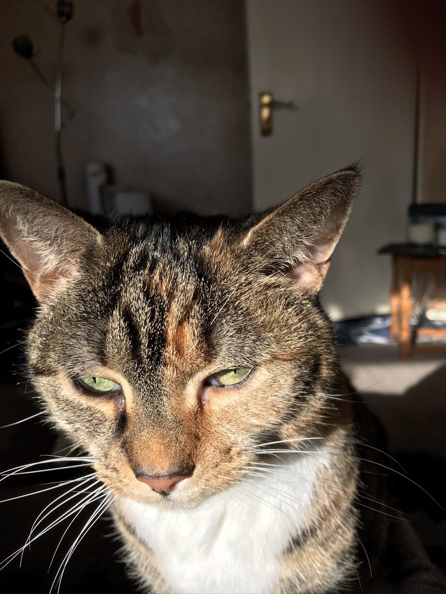 HowatsonCarrie's tweet image. Me and Socks are #SendingLoveToEmma