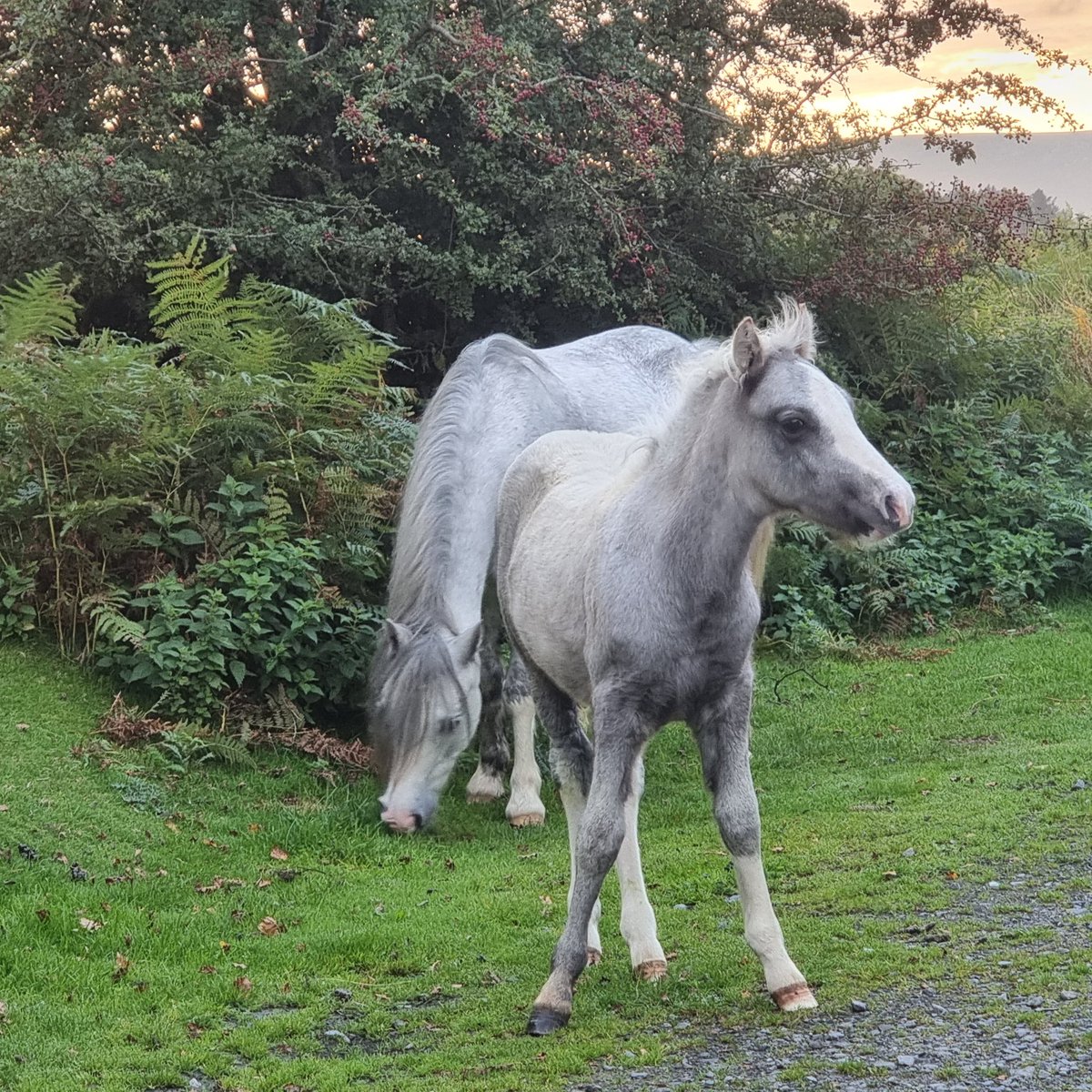 Jamiewa50042387's tweet image. So nice .