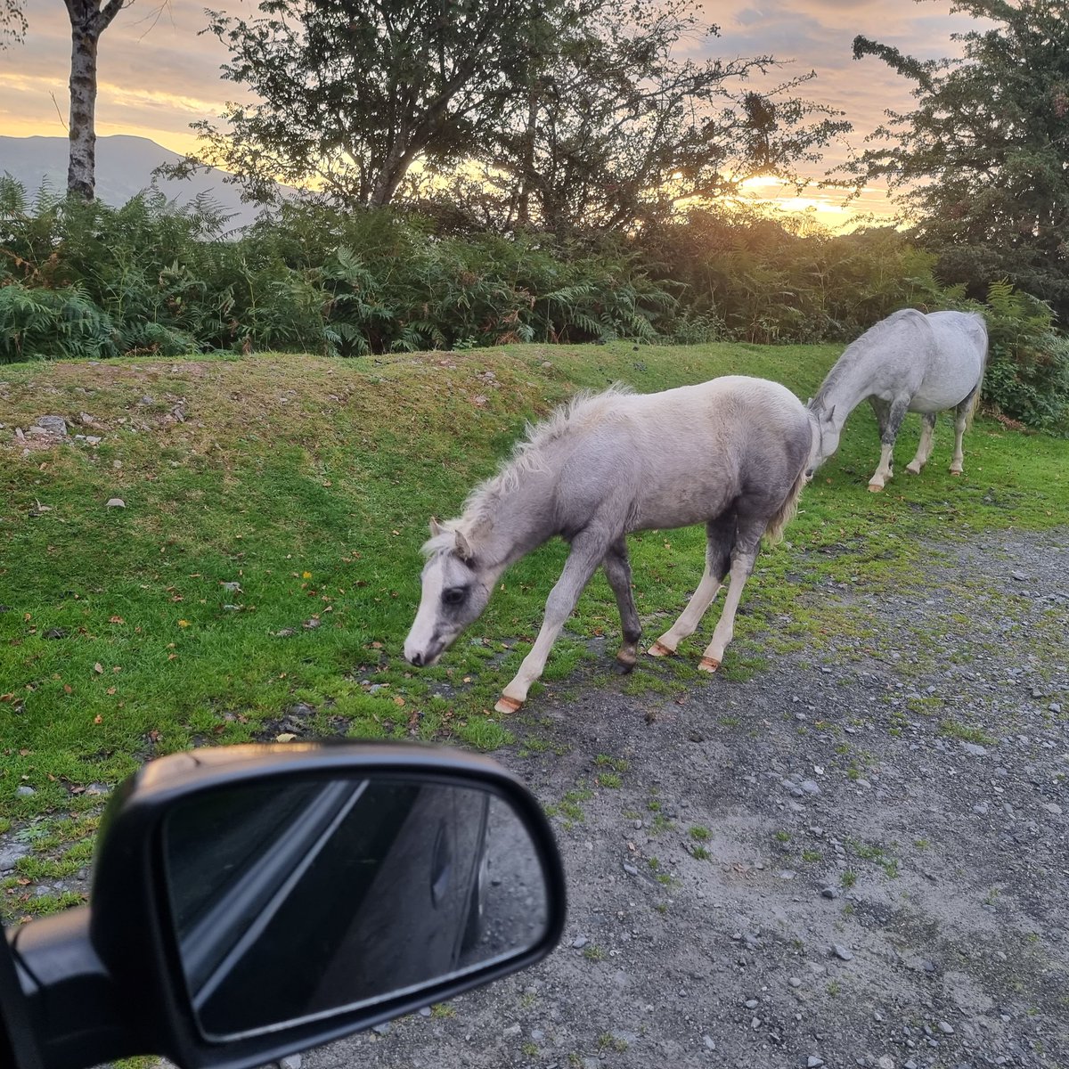 Jamiewa50042387's tweet image. So nice .