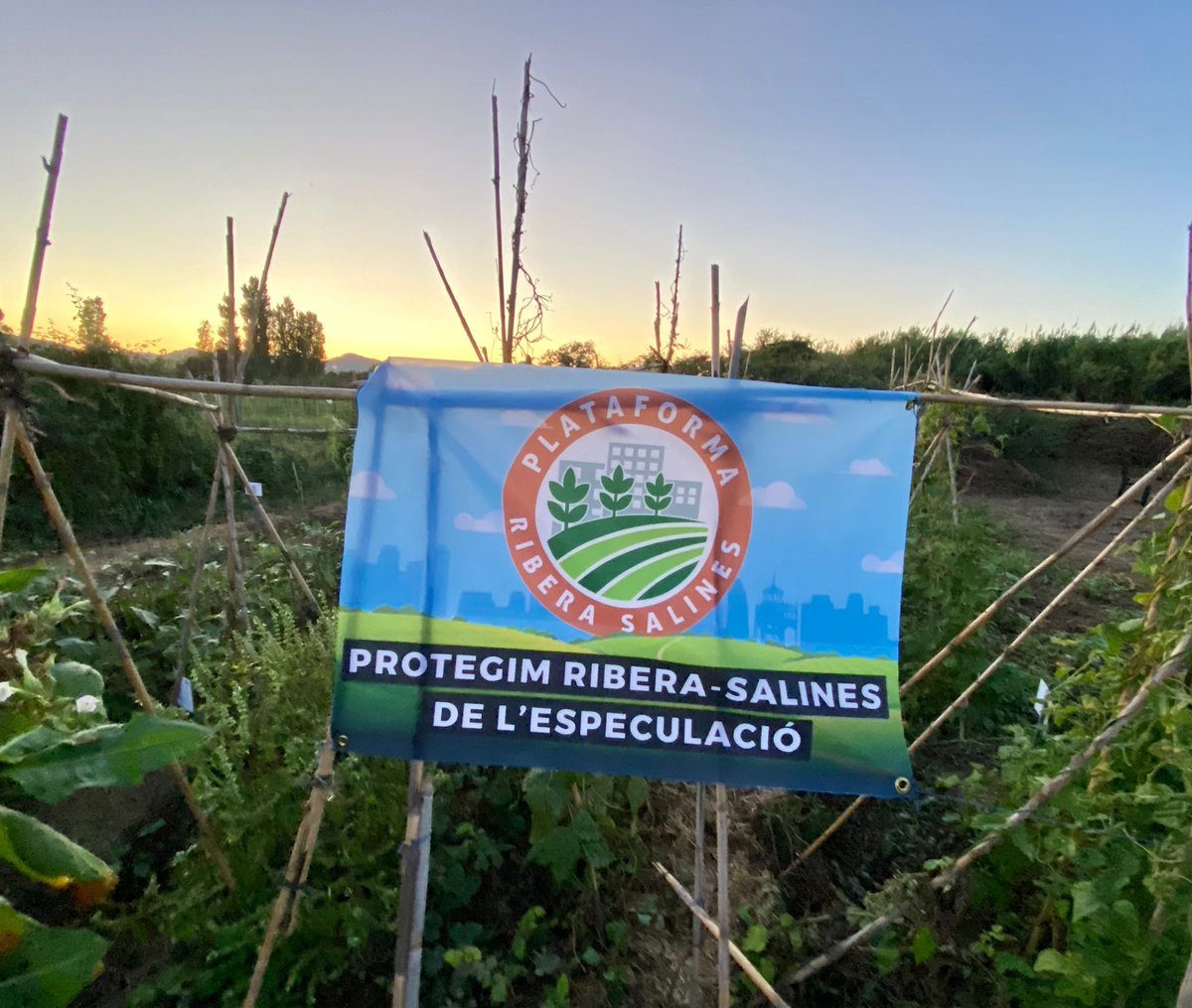 Ha arribat el dia! Us esperem a les 10 h a la sortida dels FGC de Cornellà-Riera

#StopARERiberaSalines