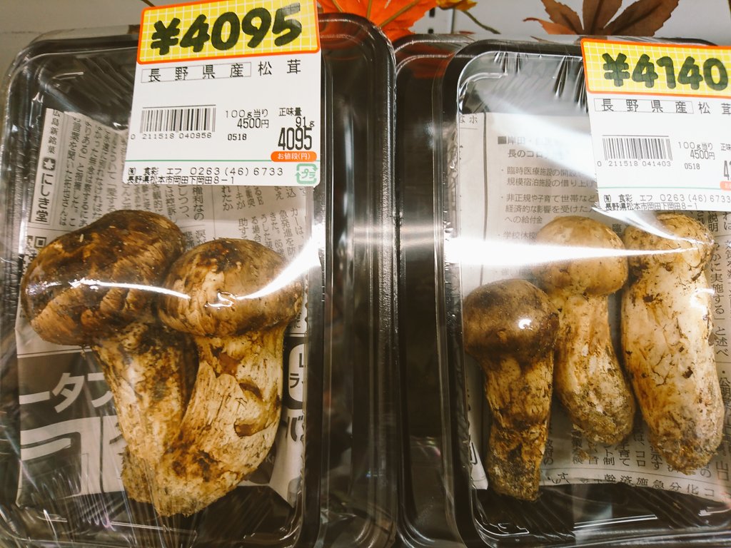 ☆即決!☆信州産松茸☆今現在約220グラム☆まつたけ☆国産 ☆即決!☆信州産松茸☆今現在約220グラム☆まつたけ☆国産