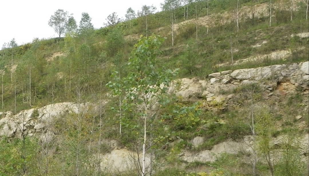 オホーツクミュージアムえさし Okhotskmuseum Twitter