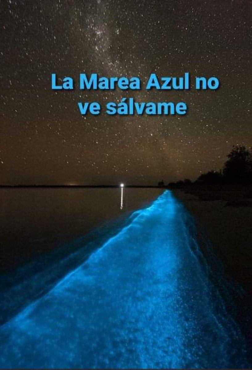 azotedetv's tweet photo. #LosFloresEnFamilia
Es el camino a seguir si nos desviamos no llegaremos al final https://t.co/LQpesomdnu