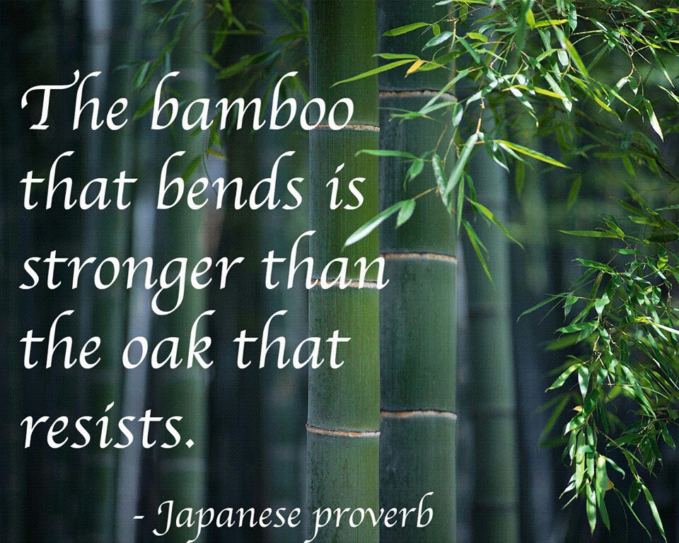 DCFNARMADA tweet media