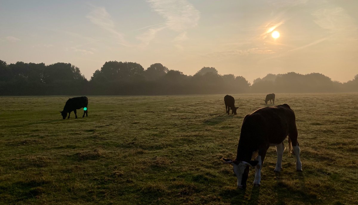 Not in Lewisham any more