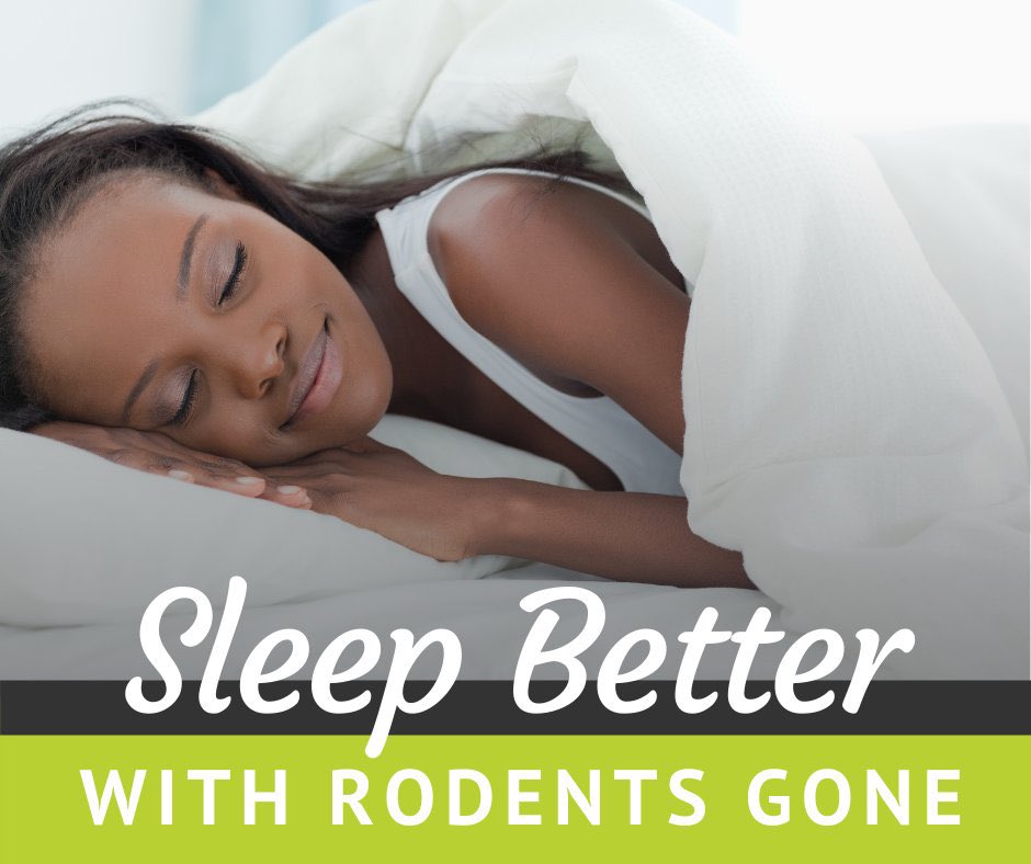 AjisonLtd's tweet image. Unlike counting sheep, counting the scratching and scrambling of critters in your attic at night will only keep you awake. The best way to end this nightmare? Contact our team at 080-346-31488.  #pestcontrol #miceproblem #ajisonpestcontrol