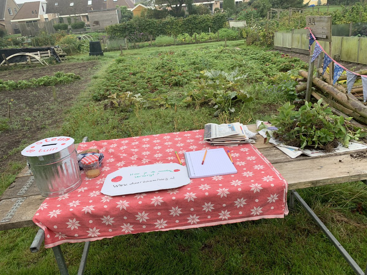 dorinevdbeukel's tweet photo. Het Hegemer #aardbeiplantjesdistributiepunt is geopend! Aardbeiplantjes zijn af te halen in de #dorpstuin tot 12 uur. #Heeg #zomerkoninkjes https://t.co/6UgMzAT1Ba