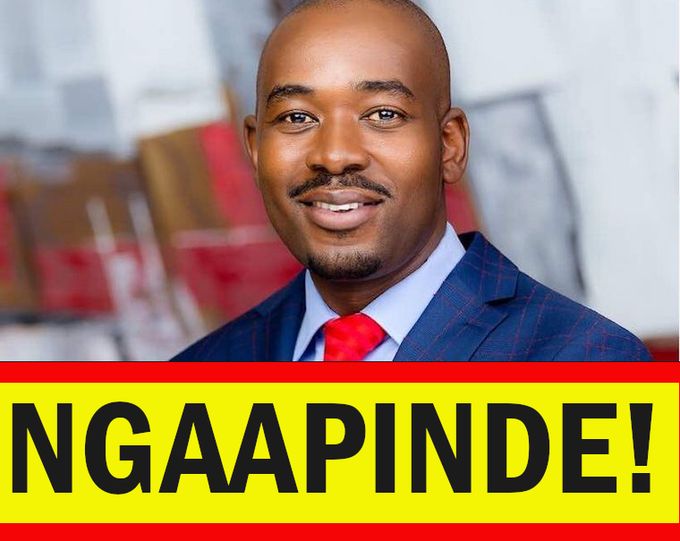 CCCZimbabwe's tweet photo. #Ngaapinde #NHM https://t.co/h5R664gNM6