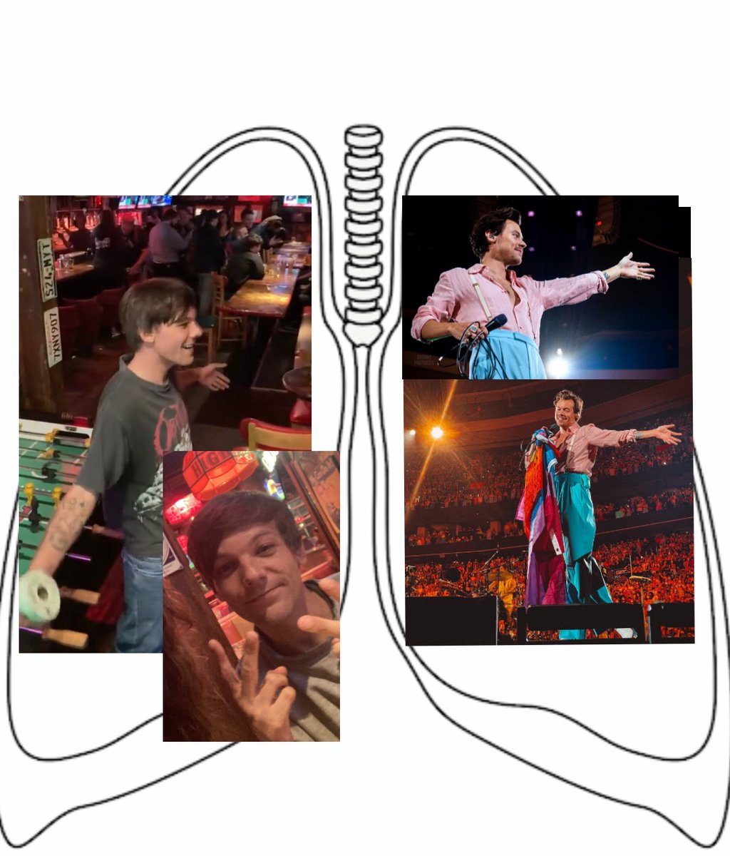 tayloriando's tweet photo. pulmón izquierdo louis / pulmón derecho Harry https://t.co/XZWmq9QQzs