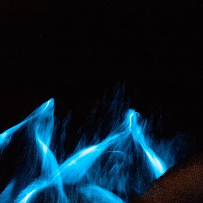 Throw back to 1yr ago when we had the pleasure of watching dolphins bow ride alongside the boat in bioluminescence. To say this was an AMAZING experience is an understatement! 🐬🐬🐬
See post link for more
#keepdiscovering #bioluminescence
. m.facebook.com/story.php?stor…