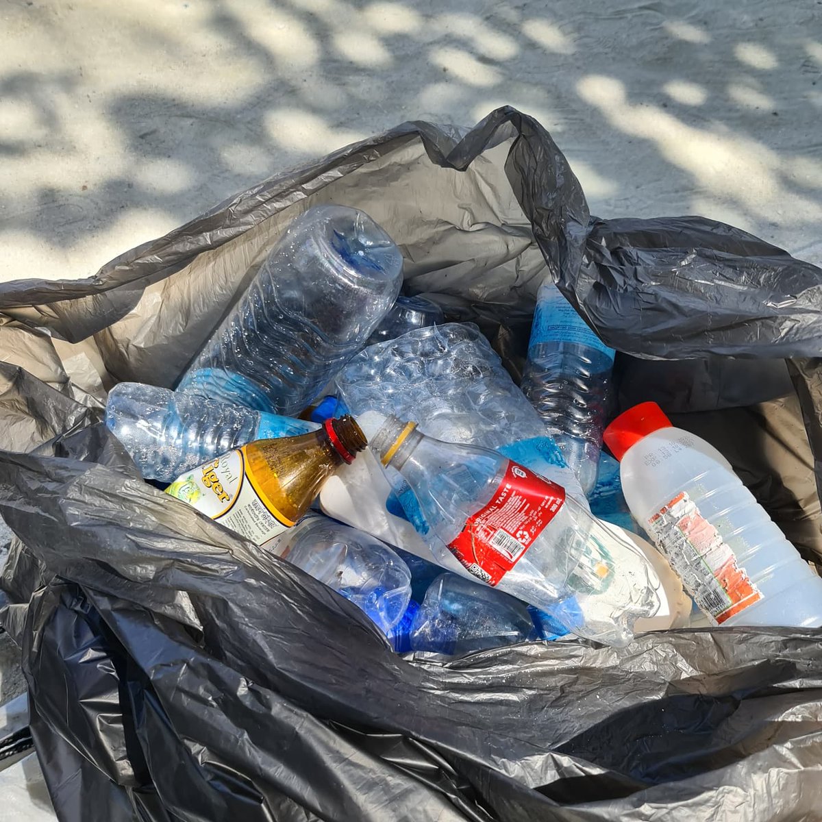 Let's do it! Maldives tweet media