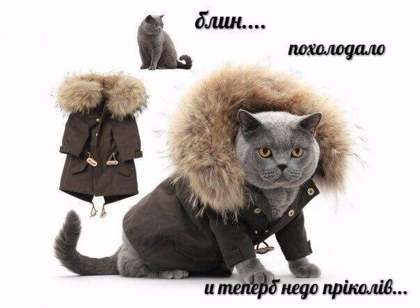 Ужасные мемы (@so_mad_so_funny) on Twitter photo 