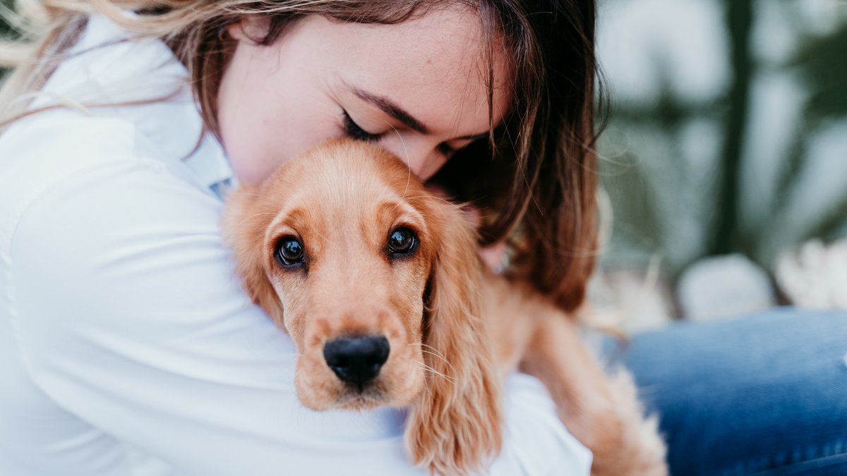 New puppy parent? We’re here to help! 🐾

Take a look at our top tips for raising a happy and healthy dog. From feeding, socialising and training advice to ideas on how to keep your pup safe and entertained.💙

Read our blog here: bit.ly/PuppyPawRents
