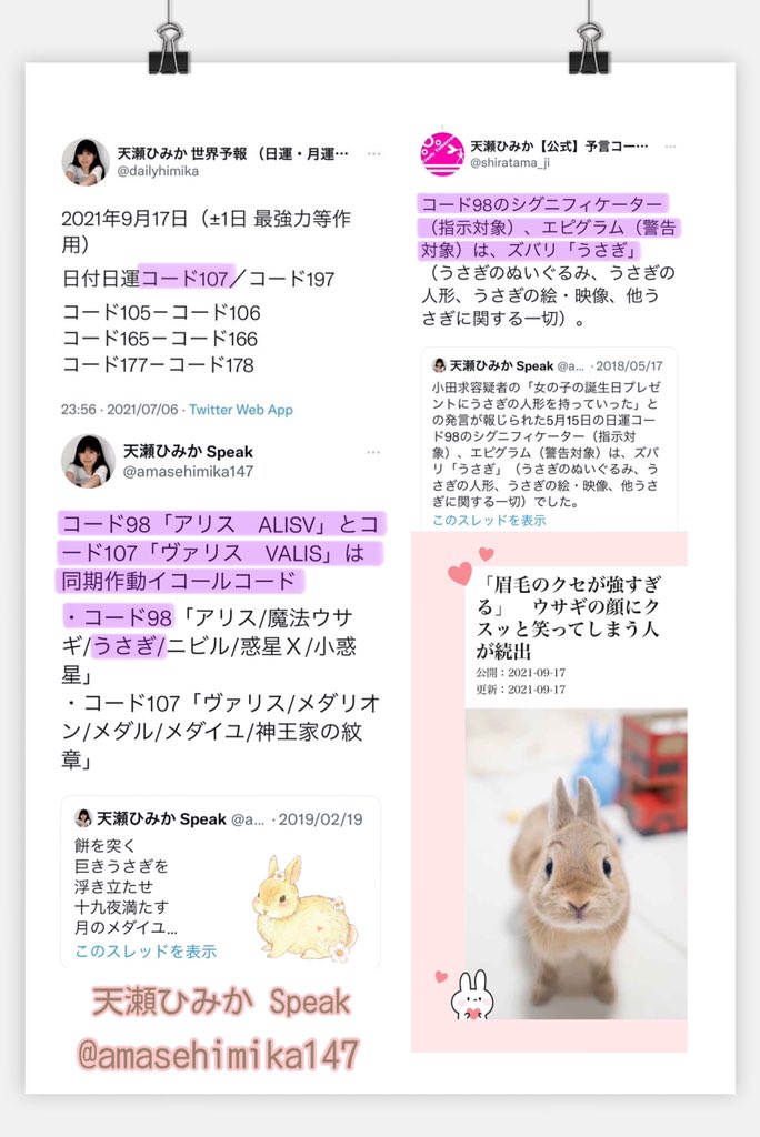 Nana ᴗ ദ 換毛期に見られる 期間限定 の眉毛 眉毛のクセが強すぎる ウサギの顔にクスッと笑ってしまう人が続出 9 17 日運 コード107 コード98 うさぎ ずっと ᴗ 見ていられる 可愛らしい の