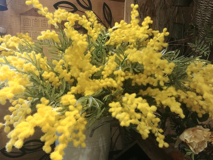 リアル花騎士のtwitterイラスト検索結果 リアル花騎士のtwitterイラスト検索結果