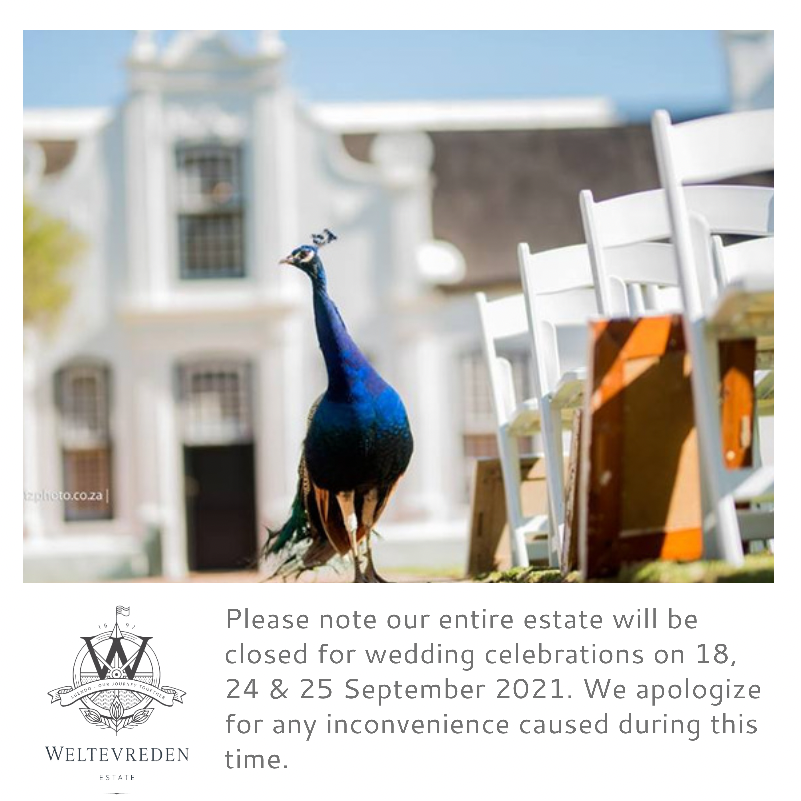 Weltevreden Estate (@weltevredenza) on Twitter photo 