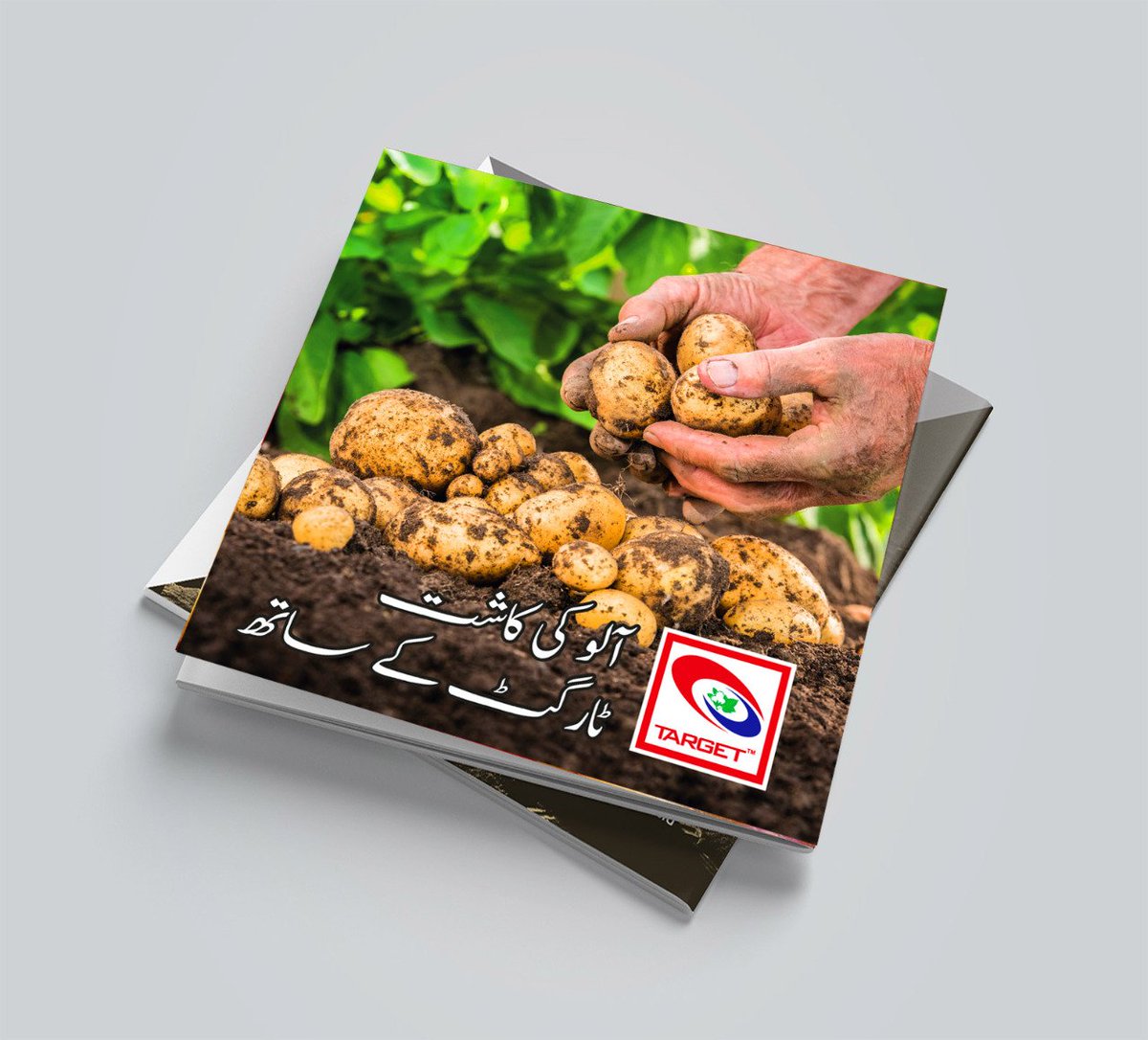 Ali Akbar Group tweet media