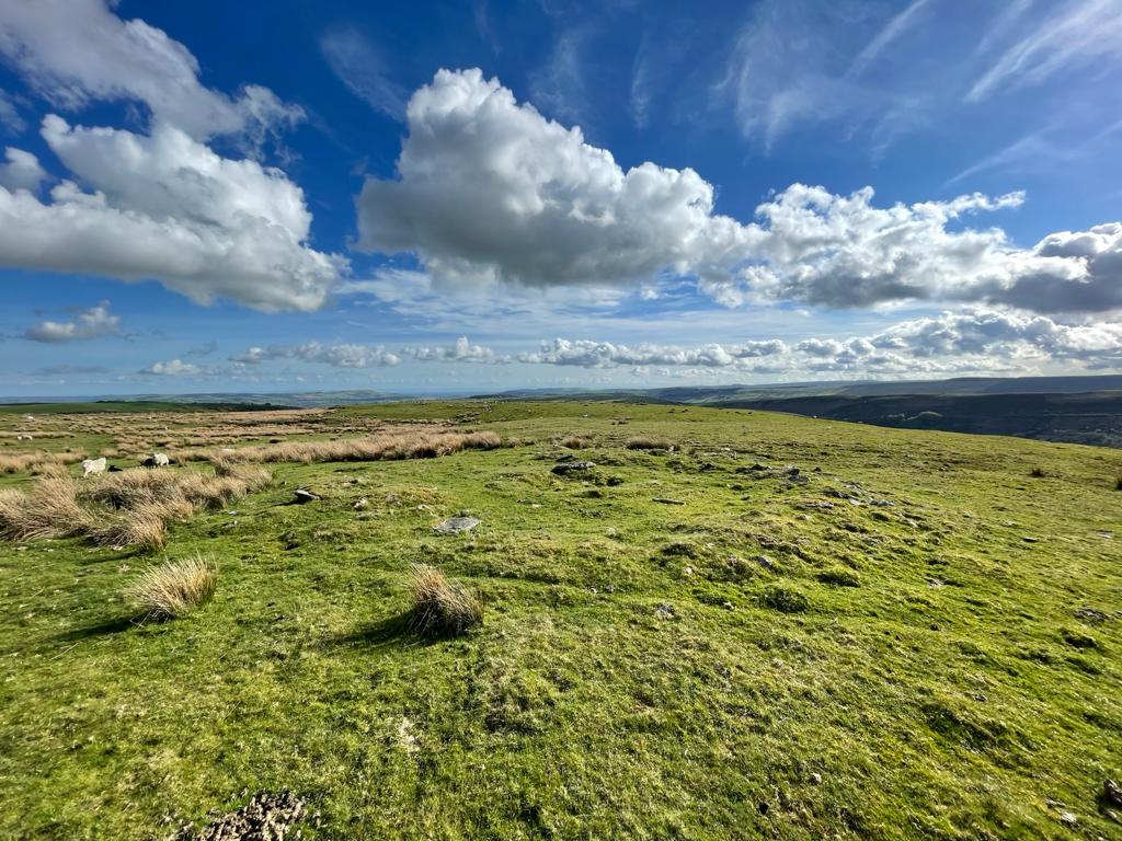GMCommon's tweet photo. Learn more about this amazing landscape - get in touch and book a place at one of our fantastic workshops today! https://t.co/I43U5C0mVt
#respectthecommon #keepwalestidy https://t.co/Wk8Fgiohba