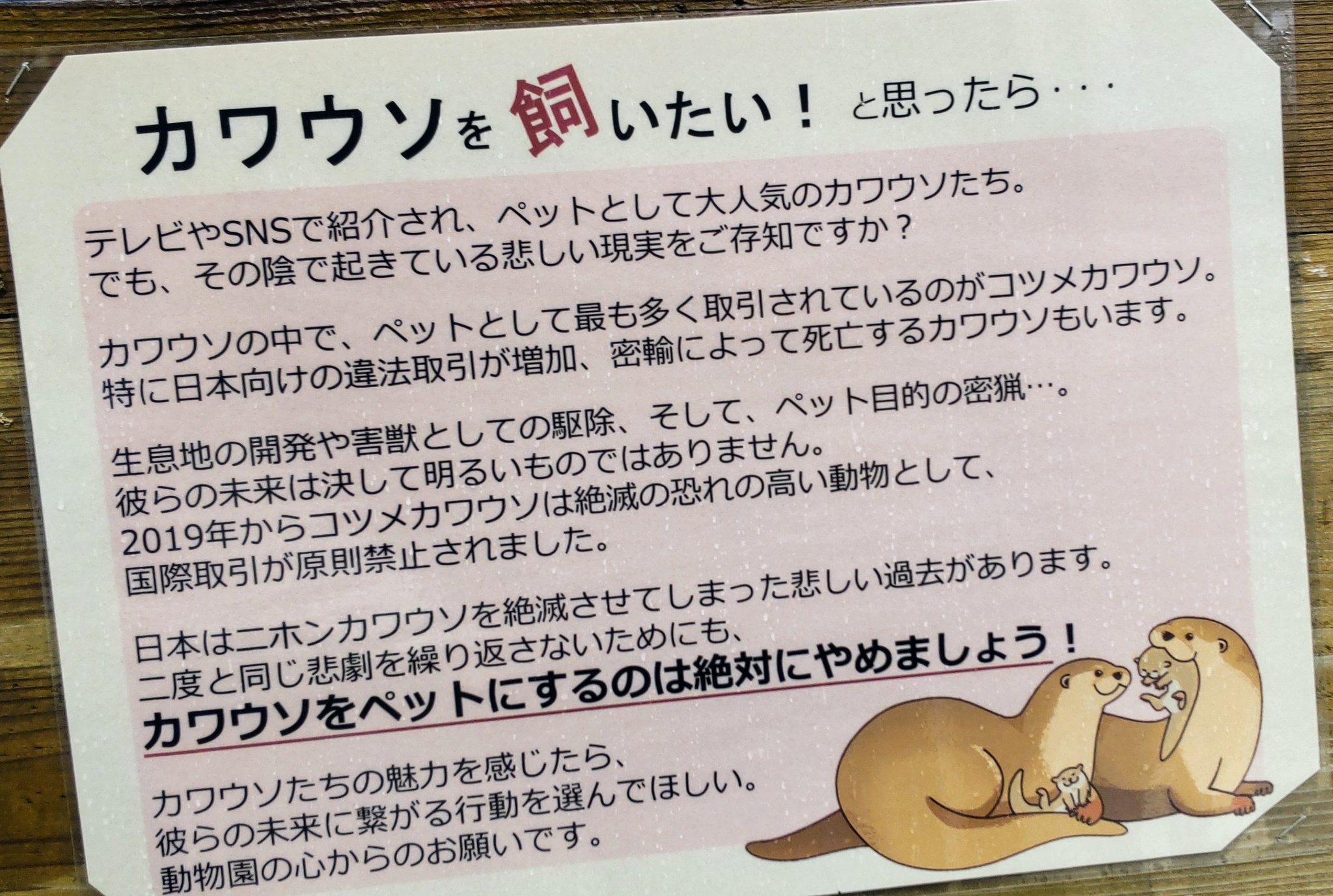 なぎさ 東山推し とても大事なこと コツメカワウソ T Co Aye4s7lom8 Twitter なぎさ 東山推し とても大事なこと コツメカワウソ T Co Aye4s7lom8 Twitter
