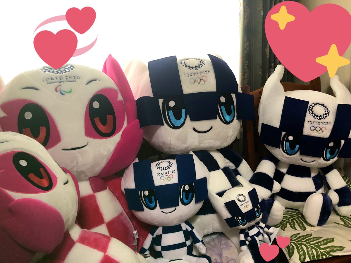 コメントを頂いていたので…。 2Lと3Lの大きさの比較です。 MとLも