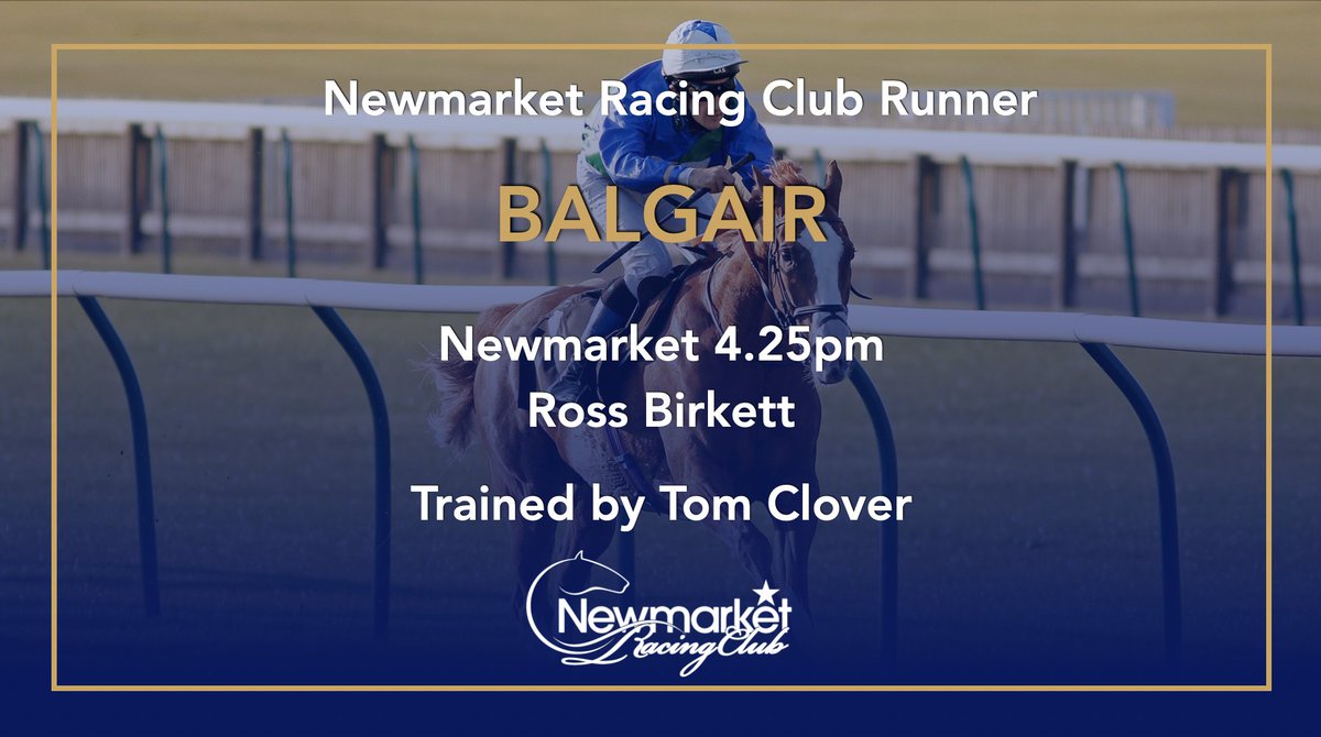 NewmarketClub's tweet photo. Best of luck to our Owners and Members as Balgair, trained by @tomcloverracing, returns to take his place in the Amateur Jockey’s Cambridgeshire at 4.25pm at Newmarket this afternoon, with @RossBirkett aboard...

#Balgair #NewmarketRacingClub #TomCloverRacing https://t.co/wnBd44UZON