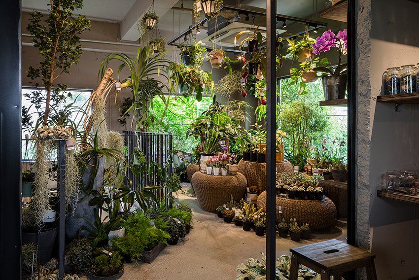 Designboom Mosaic Tiles Glass Partitions Decorate This Residence Turned Flower Shop In Tokyo T Co Z8649vc8df