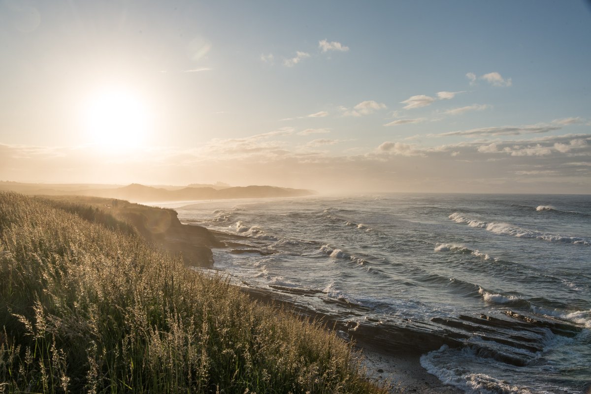 Today is the start of the annual Landscapes for Life week (18-27 September), for lots of great events organised by local Areas of Outstanding Natural Beauty and nationwide, follow @AONBFamily #Landscape2021 https://t.co/OMh4eefncB