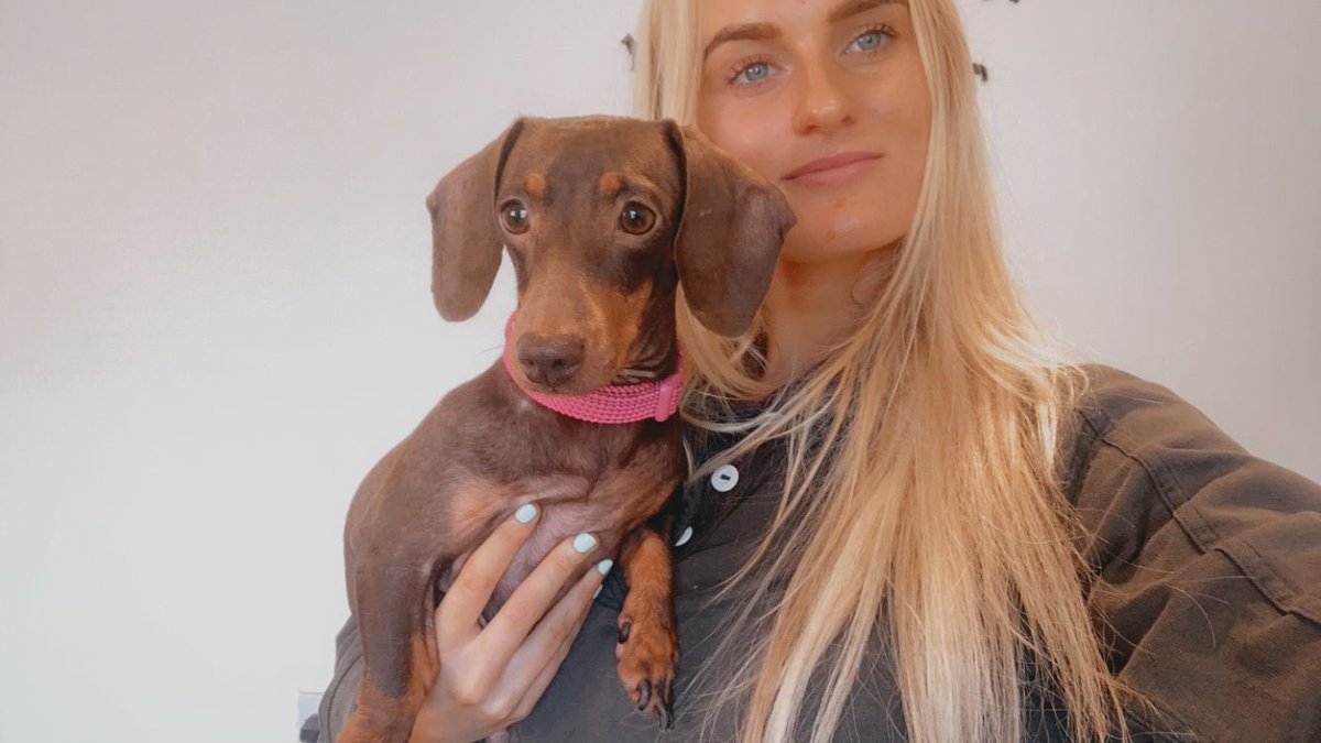 Dogs On Point tweet media