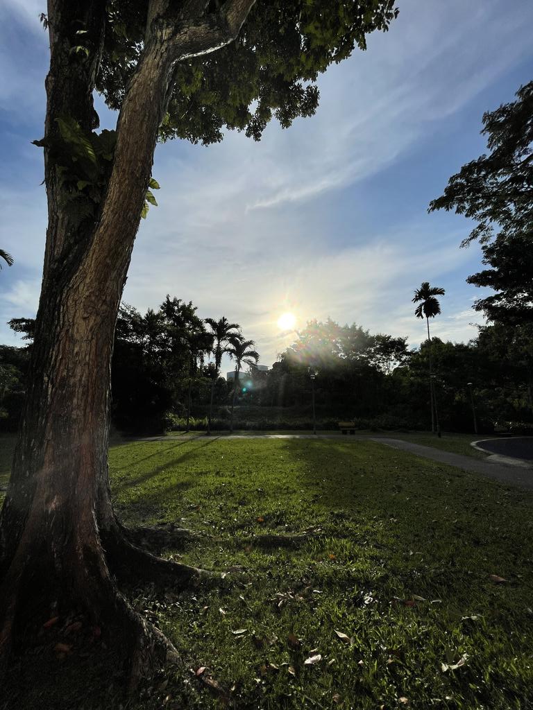 Golden_Reviewer's tweet image. Daylight comparison
1,3 from #GalaxyZFold3
2,4 from #iPhone12ProMax
HDR auto on