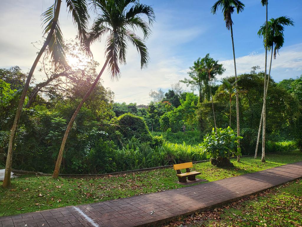 Golden_Reviewer's tweet image. Daylight comparison
1,3 from #GalaxyZFold3
2,4 from #iPhone12ProMax
HDR auto on