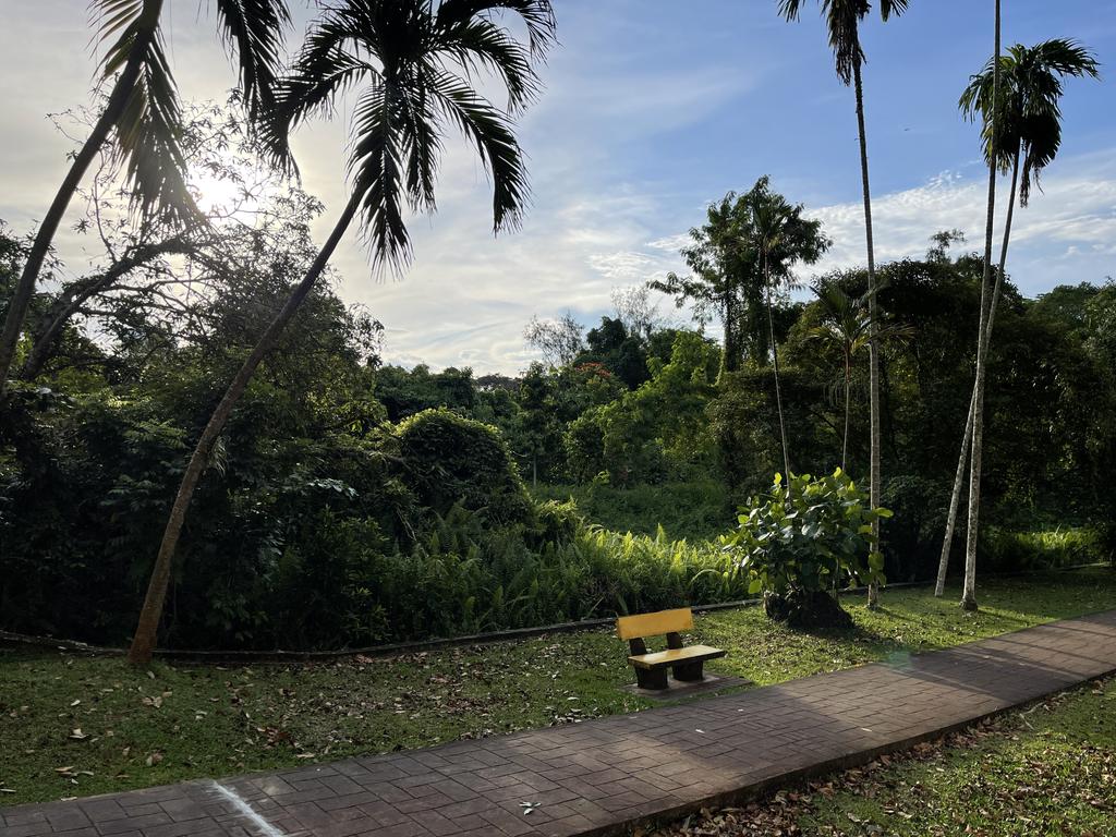 Golden_Reviewer's tweet image. Daylight comparison
1,3 from #GalaxyZFold3
2,4 from #iPhone12ProMax
HDR auto on