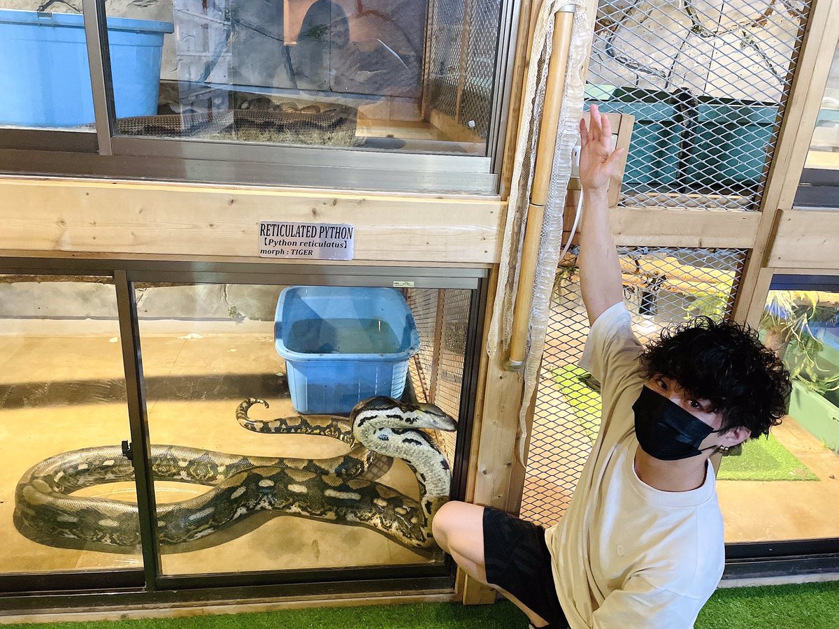 こうたろう(旧ミソージ) on X