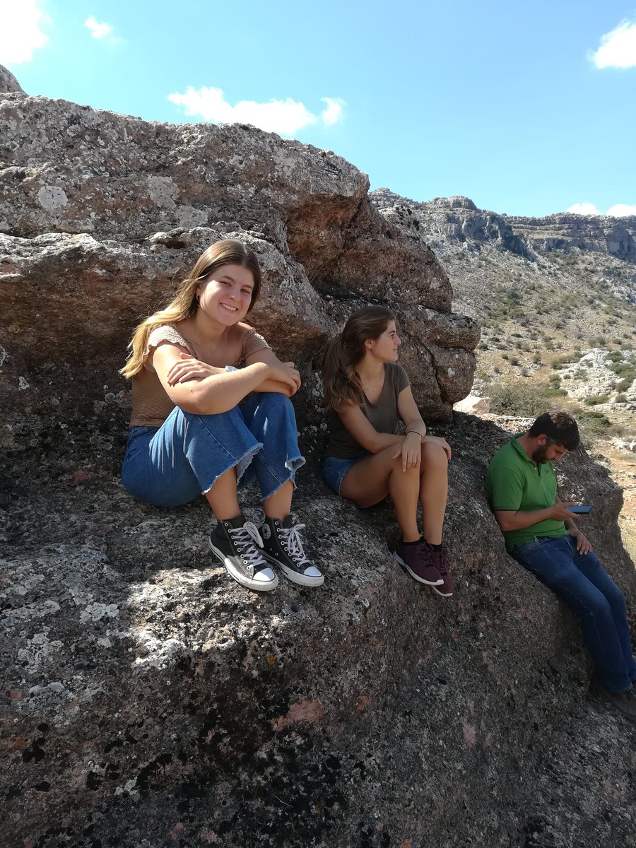 LosNavazos's tweet photo. Mirad como buscan la sombra 🐑🐑.... Y nosotros también 😂 #ganadería #extensivo #naturaleza #Torcal #Antequera https://t.co/NfMvn10lc8