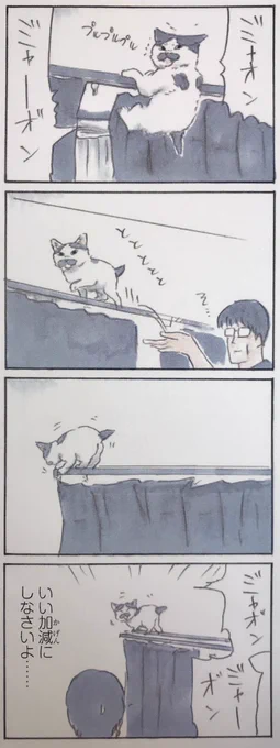『拾い猫のモチャ6』収録。10月21日発売です。今回もこれまで同様クスッと笑える猫達との日常漫画を大量に収録。しばらく告知が多くなります。何卒ご容赦下さい 