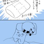 ニトリでいい枕を購入するも、結局はお猫様に取られてしまうw