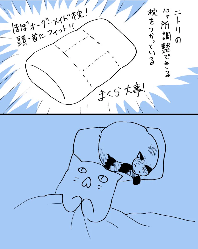 ニトリでいい枕を購入するも、結局はお猫様に取られてしまうｗｗ