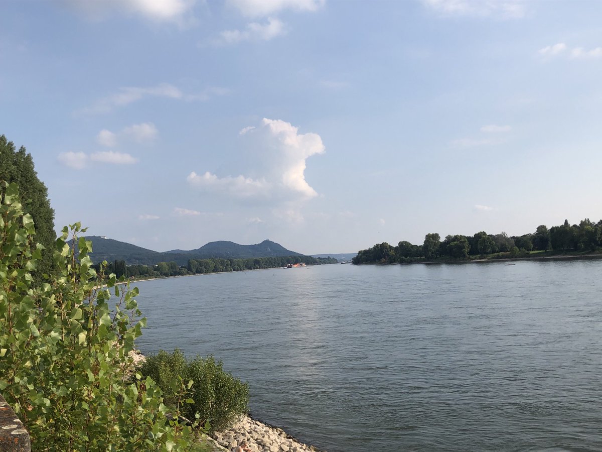 SabineRoeltgen's tweet photo. #bonnerbogen einfach traumhaft ☀️ https://t.co/07Ous4LzhY