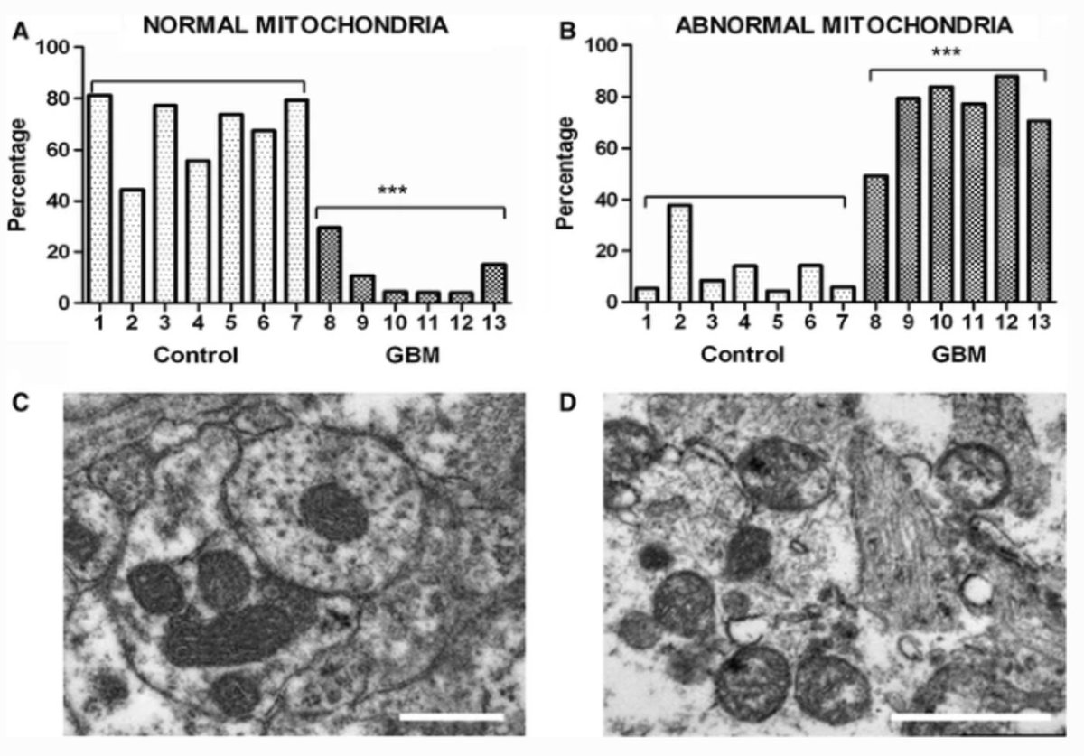Journal of Neuro-Oncology tweet media