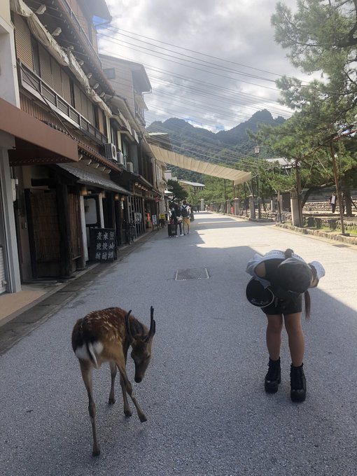 Twitterのコスプレ画像24