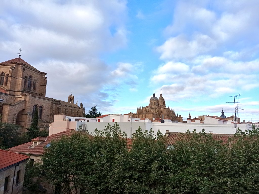 Melody Moreno Barrueco tweet media