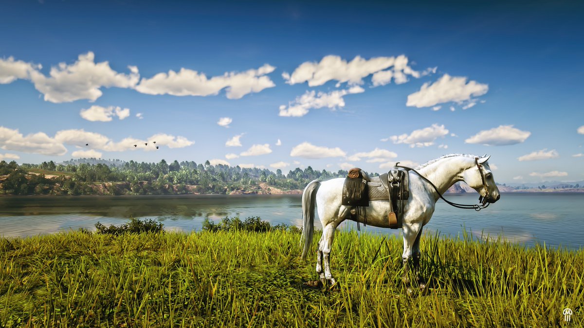Twitter 上的 Rdr2 话题标签 Twitter 上的 Rdr2 话题标签