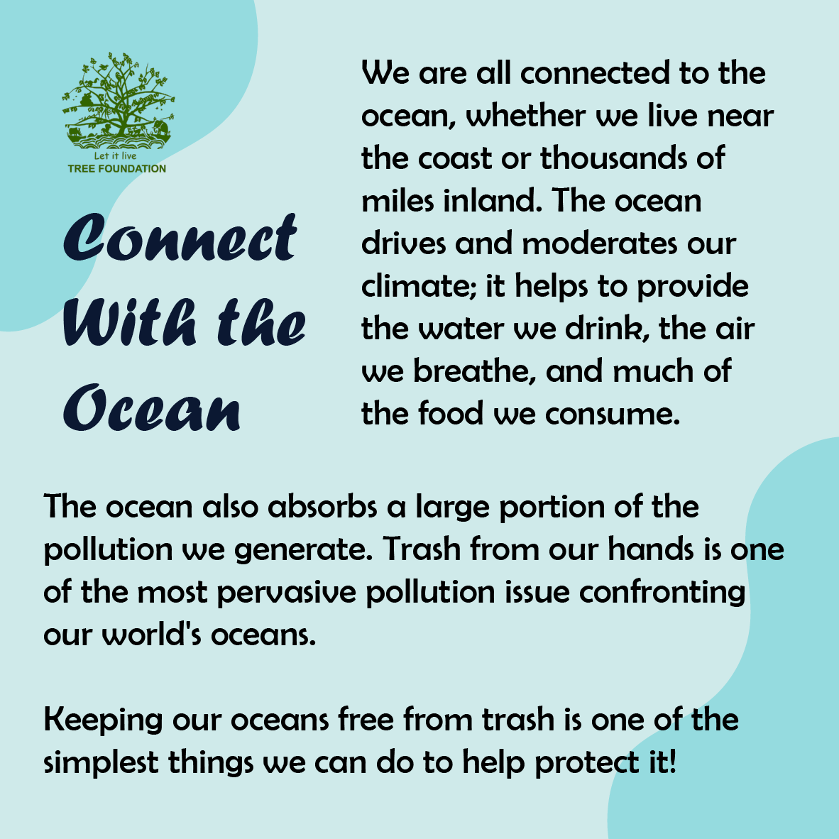 TREEFoundation1's tweet photo. This #InternationalCoastalCleanupDay (ICC), let us be more aware and sensitive to the wonders of the ocean, as well as understand the threats that we pose to the ocean. #ConnectwiththeOcean #CoastalCleanUpDay #SaveTheOcean #MarineWildlife #Oceans #SeaTurtles #Conservation https://t.co/CO4uCChbDi